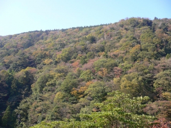 本堂から見える「湯坂山」の景色には、「ほっ～！」と一息つける魅力があります。 絶景を見ながらの坐禅や写経・写仏をご案内しております