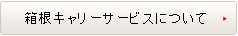 箱根キャリーサービスについて