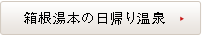 箱根湯本の日帰り温泉