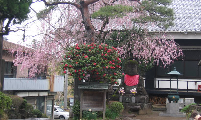 正眼寺（しょうげんじ）