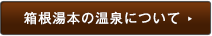 箱根湯本の温泉について