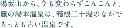 湯坂山から、今も変わらずこんこんと。山の麓の湯本温泉は、箱根二十湯のなかで もっとも古い温泉です。