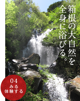 4.みる・体験する