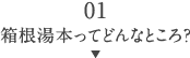 01箱根湯本ってどんなところ？